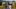 Video Platzhalter Video Platzhalter