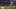 Video Platzhalter