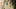 Video Platzhalter Video Platzhalter