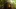 Video Platzhalter