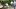 Video Platzhalter Video Platzhalter