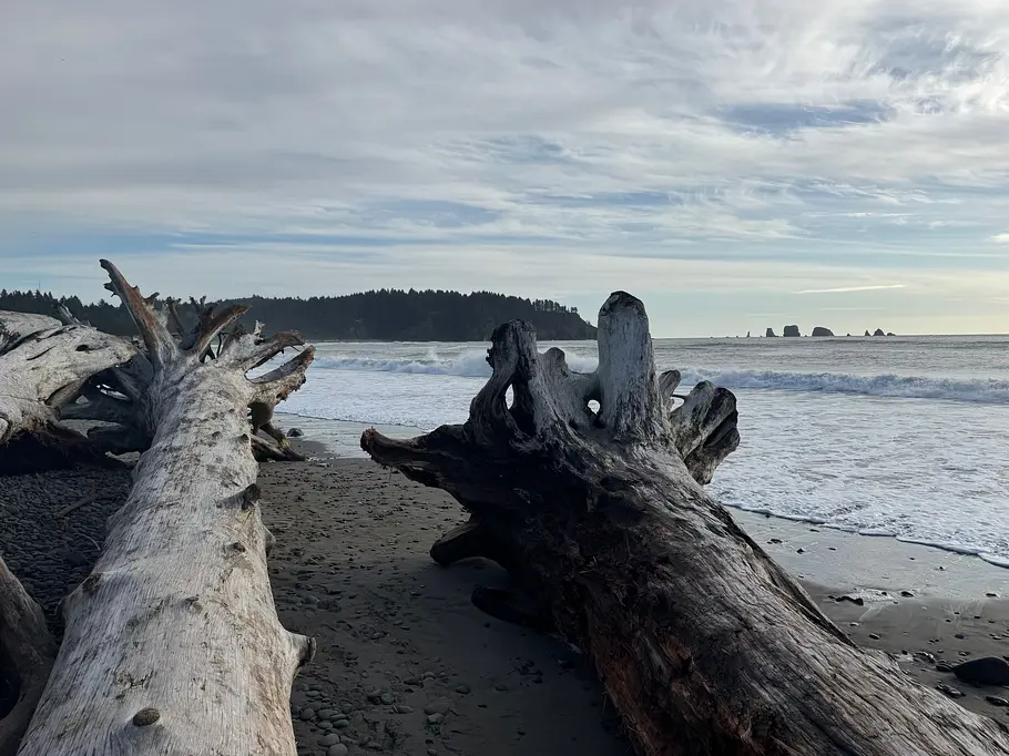 Strand in La Push mit dem iPhone 15 Pro aufgenommen