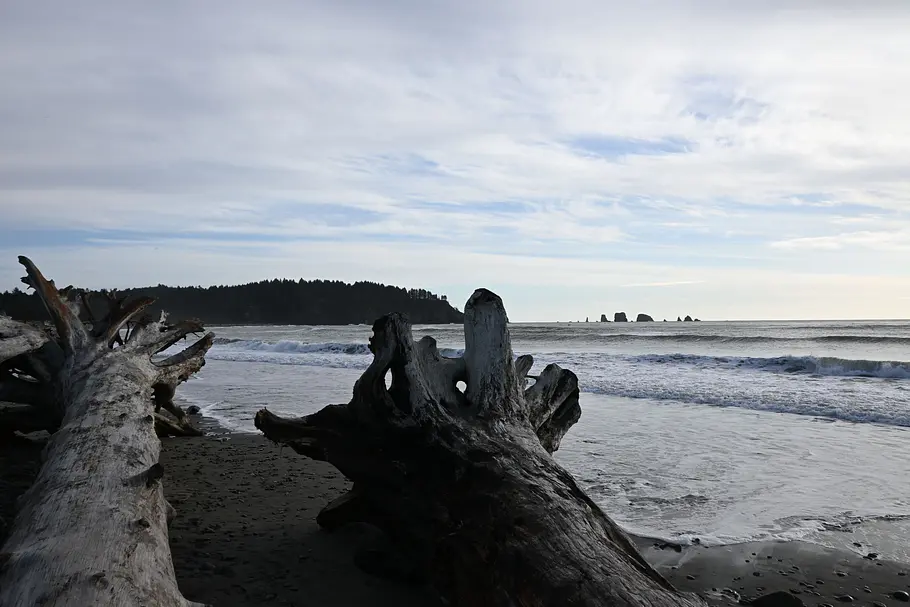 image00006 Strand in La Push mit der Nikon Z50 aufgenommen