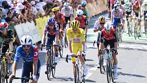 Tadej Pigacar im Peloton auf der 9. Etappe der Tour - Foto:  IMAGO / Sirotti
