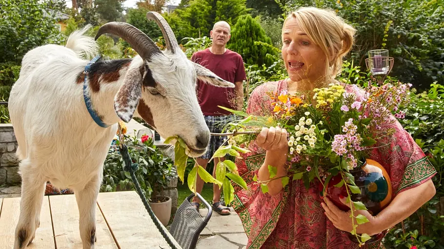 Klimawandel bei Familie Wilmers Klimawandel bei Familie Wilmers