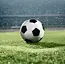 Fußball im Stadion - Foto: iStock/FangXiaNuo
