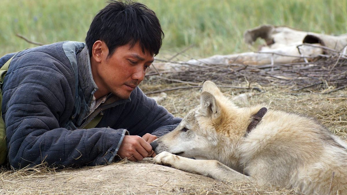 Der letzte Wolf Der letzte Wolf
