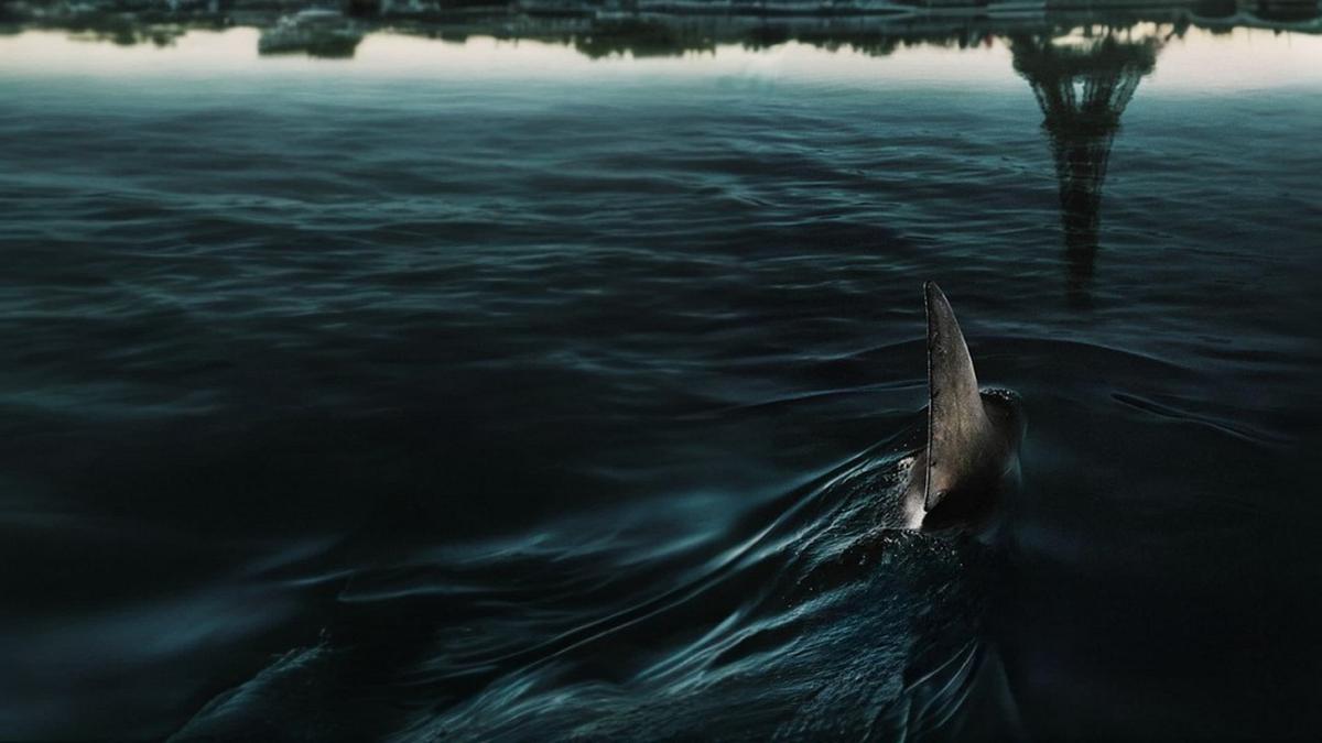 Im Wasser der Seine