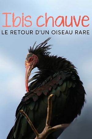 Der Waldrapp: Zugvogel im Aufwind - Foto: TMDB