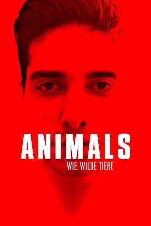 Animals: Wie wilde Tiere - Foto: TMDB