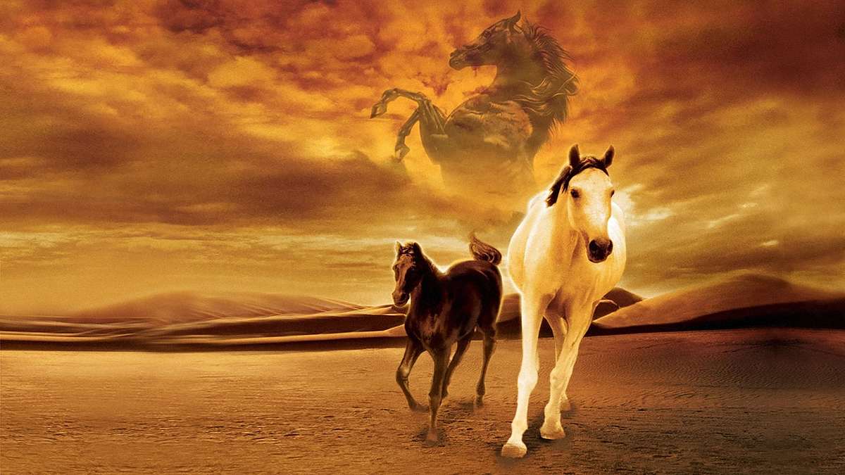 Der schwarze Hengst - Wie alles begann... Der schwarze Hengst - Wie alles begann...