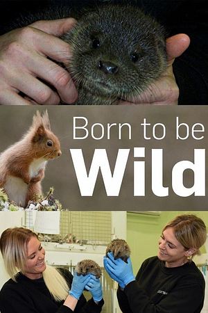 Born to Be Wild - Foto: TMDB