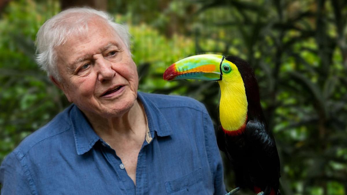 Das Leben in Farbe mit David Attenborough Das Leben in Farbe mit David Attenborough