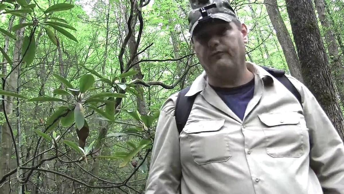 Bigfoot: Still Tracking a Legend