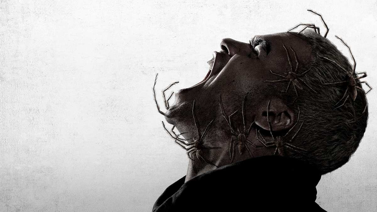 Spiders - Ihr Biss ist der Tod Spiders - Ihr Biss ist der Tod