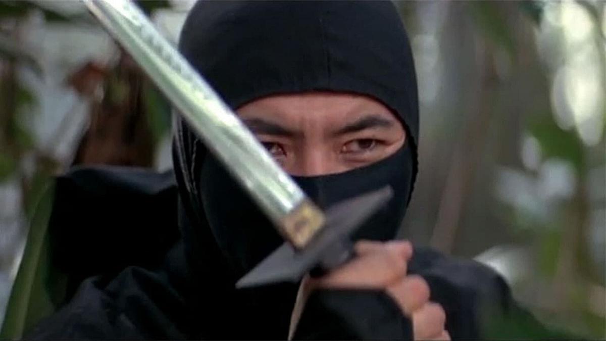 Die 1000 Augen der Ninja Die 1000 Augen der Ninja
