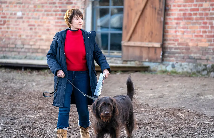 Katrin Sass spielt Karin Lossow im Usedom-Krimi. Katrin Sass in rotem Pullover und dunklem Mantel hält einen großen braunen Hund an der Leine vor einem Backsteingebäude.