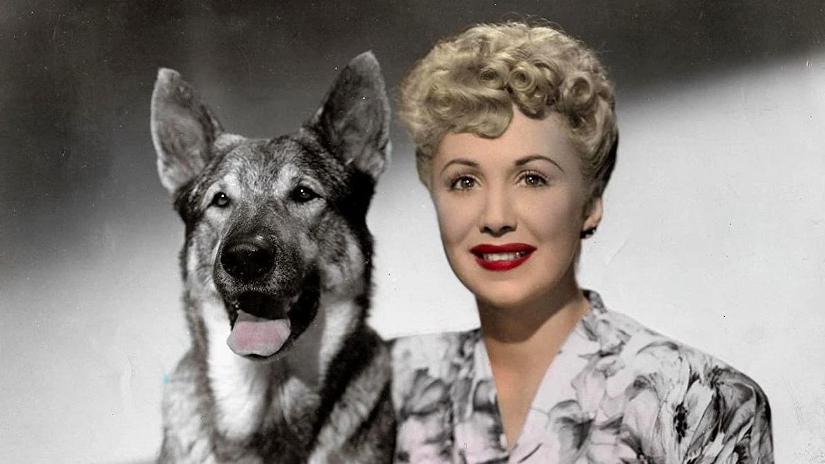Rin Tin Tin - Die Rückkehr Rin Tin Tin - Die Rückkehr