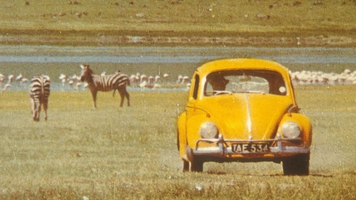 Ein Käfer geht auf's Ganze Ein Käfer geht auf's Ganze