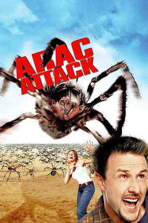 Arac Attack - Angriff der achtbeinigen Monster - Foto: TMDB