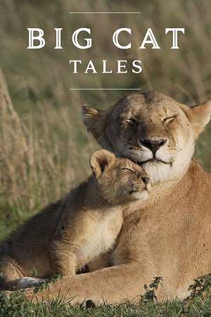 Big Cat Tales - Foto: TMDB