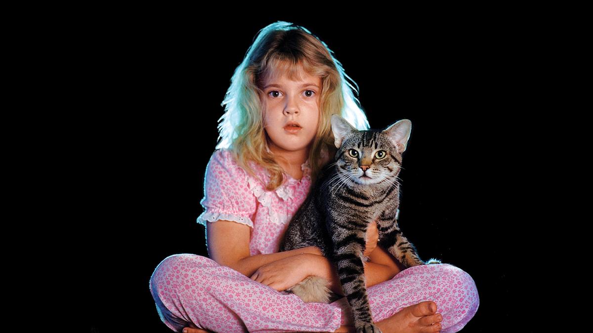 Stephen King's Katzenauge Stephen King's Katzenauge