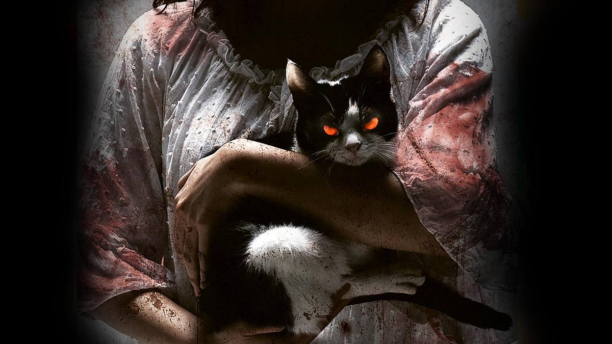The Cat The Cat