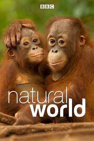 Natural World - Foto: TMDB
