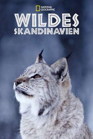 Wildes Skandinavien - Foto: TMDB