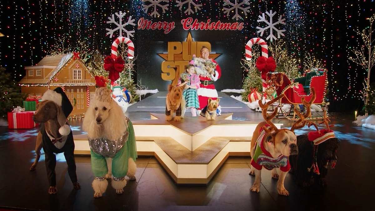 Wuff Star Weihnachten Wuff Star Weihnachten