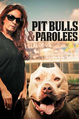 Pitbulls auf Bewährung - Foto: TMDB