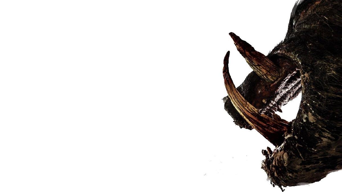 Boar Boar