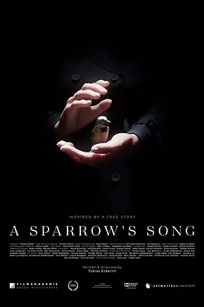 A Sparrow's Song - Foto: TMDB A Sparrow's Song - Foto: TMDB