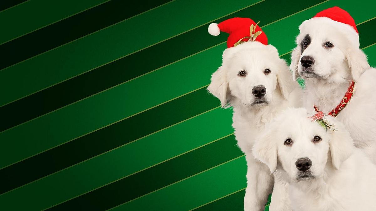 Santa Buddies - Auf der Suche nach Santa Pfote Santa Buddies - Auf der Suche nach Santa Pfote