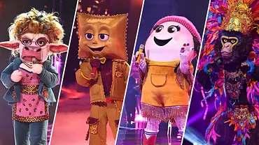 The Masked Singer 2025 Finale - Foto: Joyn/Willi Weber