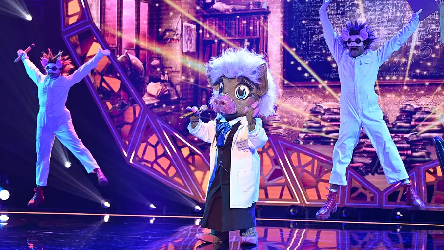 Professor Dr. Dr. Schweinstein auf der Bühne.