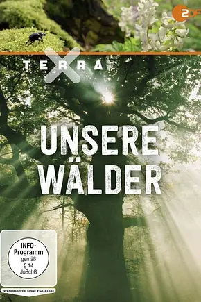 Unsere Wälder - Foto: TMDB