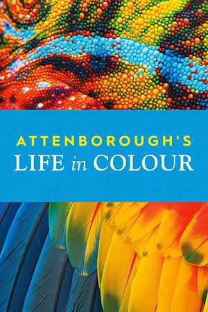 Das Leben in Farbe mit David Attenborough - Foto: TMDB
