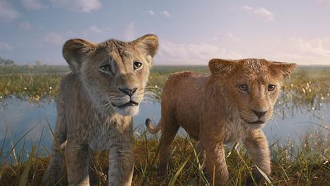 Mufasa und Taka - Foto: Disney