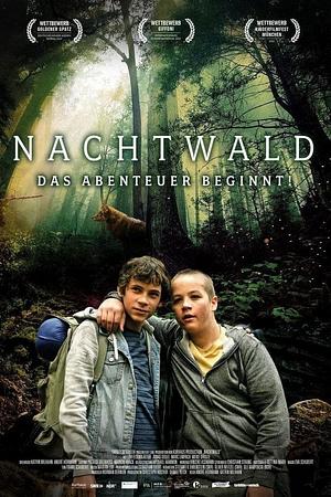 Nachtwald - Foto: TMDB