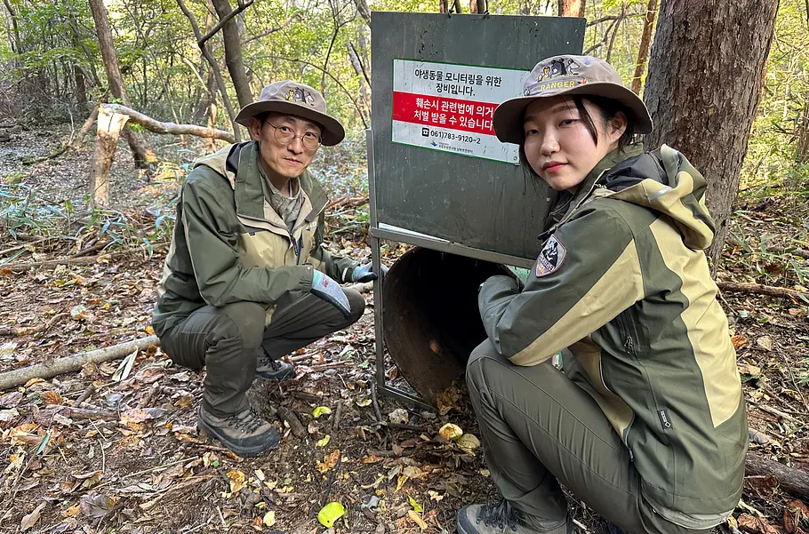Naturjuwel Südkorea