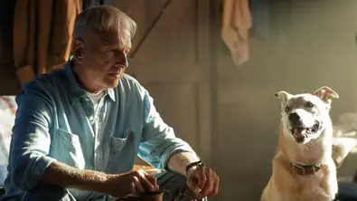 Mark Harmon als Leroy Jethro Gibbs sitzt im hellblauen Hemd neben einem Hund. Auf dem Tisch liegen Bücher, Brille und Tasse. - Foto: CBS