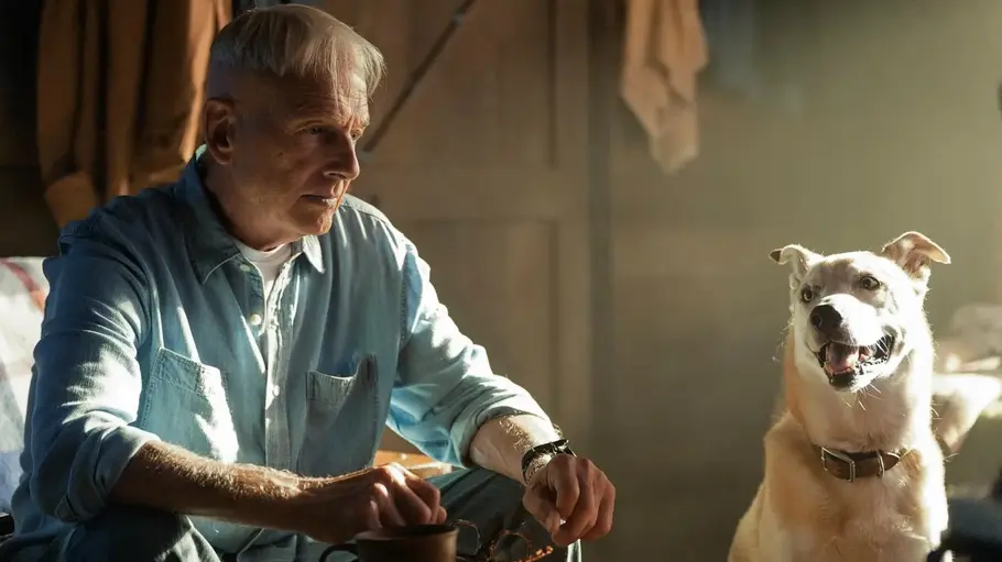 „Navy CIS: Origins“ bietet Fans in Staffel 3 das, was sie in „Navy CIS“ vermissen: Gibbs! Mark Harmon als Leroy Jethro Gibbs sitzt im hellblauen Hemd neben einem Hund. Auf dem Tisch liegen Bücher, Brille und Tasse.