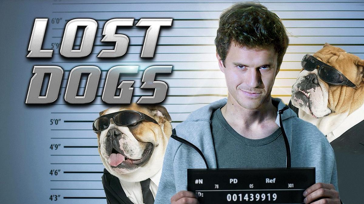 Lost Dogs Lost Dogs