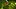 Video Platzhalter Video Platzhalter