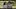 Video Platzhalter