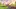 Video Platzhalter Video Platzhalter