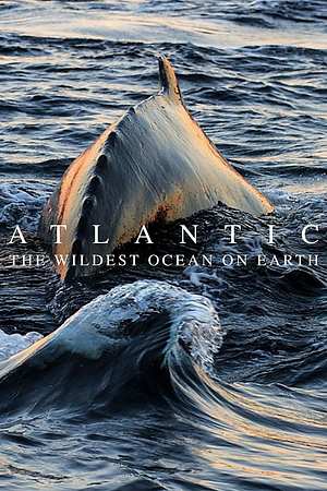 Wilder Atlantik - Ozean der Extreme - Foto: TMDB