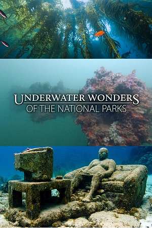 Underwater Wonders Of The National Parks - Foto: TMDB