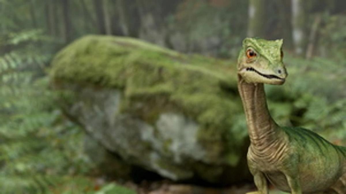 Planet Deutschland - 300 Millionen Jahre Planet Deutschland - 300 Millionen Jahre